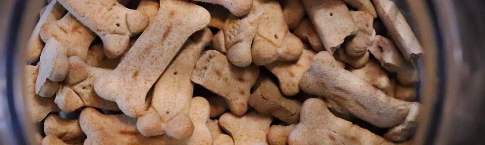 Ricetta biscotti per cani